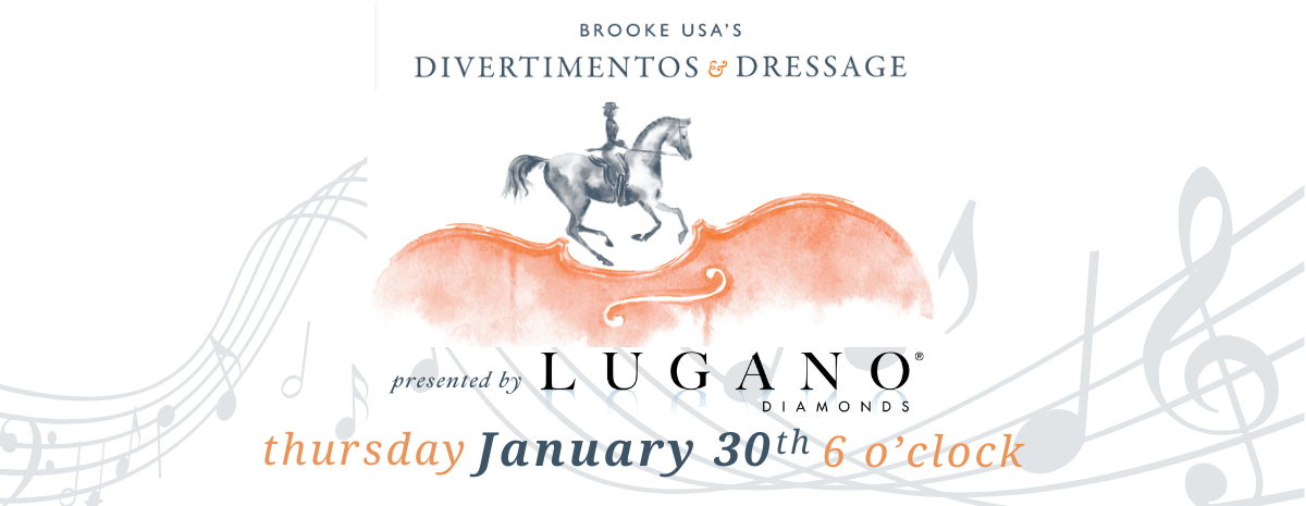 2025 Divertimentos & Dressage - Ocala